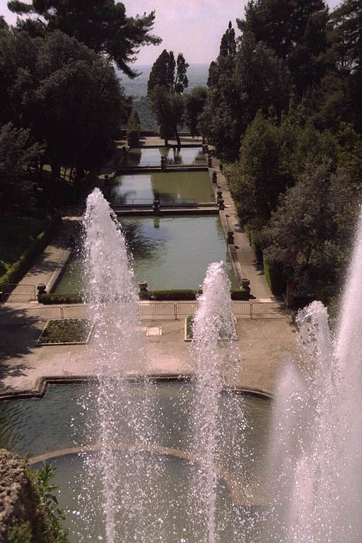 64.jpg