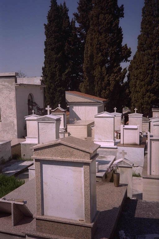 097.jpg
