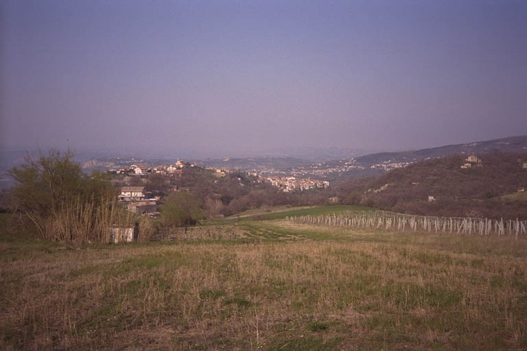 102.jpg