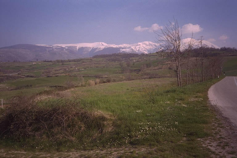 103.jpg
